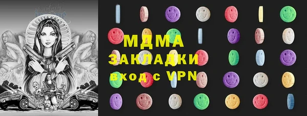 прущие грибы Бородино