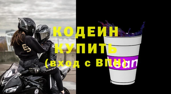 прущие грибы Бородино