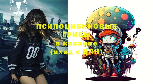 apvp Верея