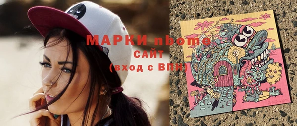 прущие грибы Бородино