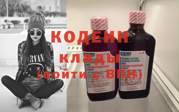 прущие грибы Бородино