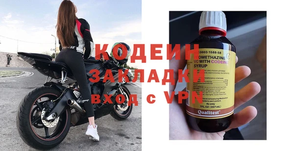 прущие грибы Бородино